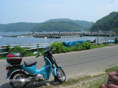 日向港
