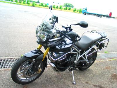 North Wing JC Tiger800