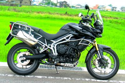 North Wing JC Tiger800