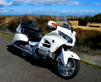 North Wing JC GoldWing