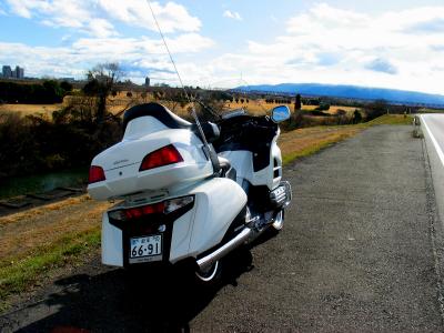 North Wing JC GoldWing